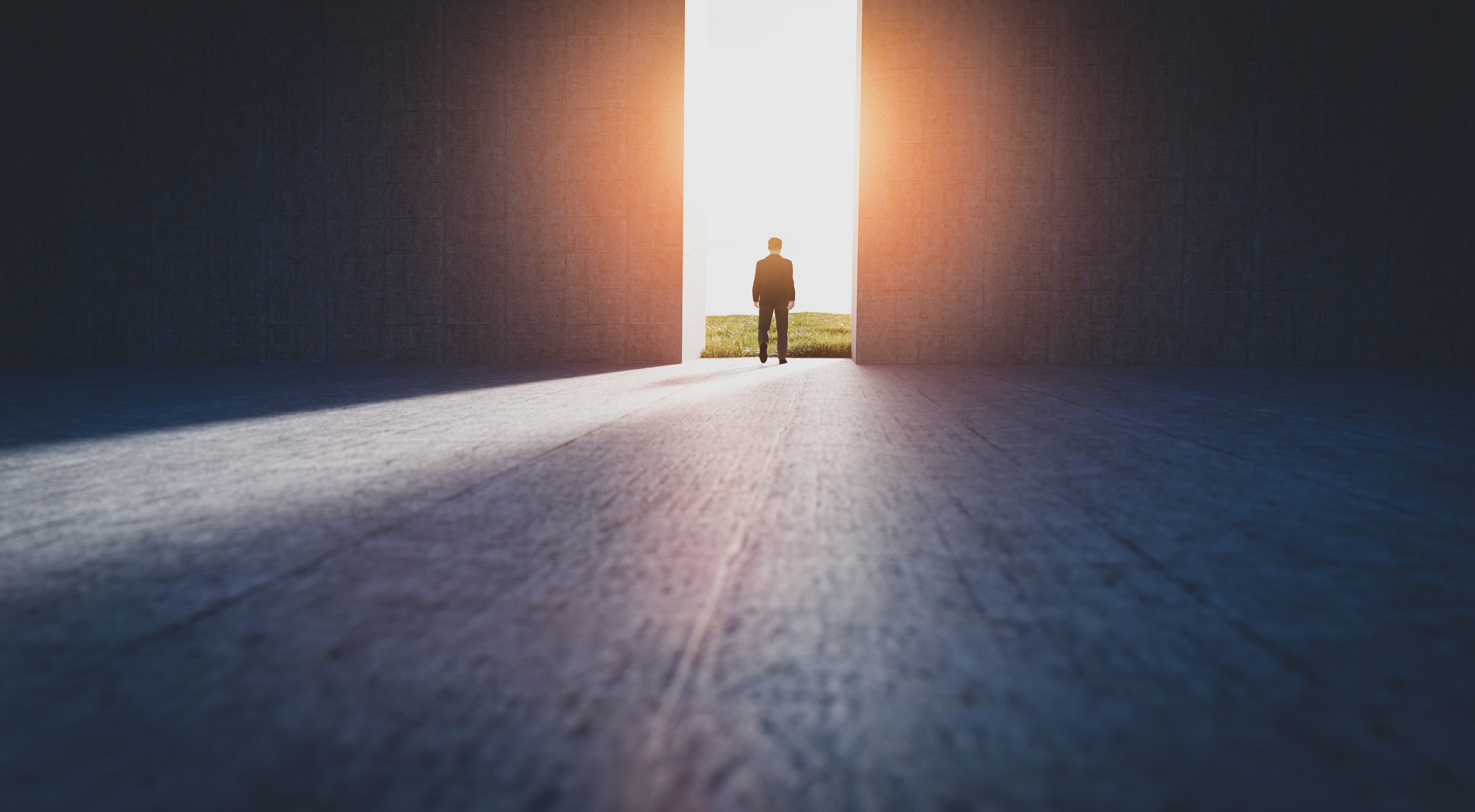 Read more about the article When Limited Partners Should Consider Emerging Funds