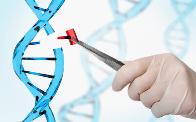 CRISPR QC’s Game-Changing Role in Gene Editing and Biotechnology